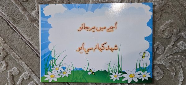 Aje mei ye jaanu shehed kaha si ayu