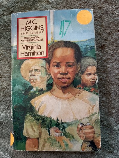 M.C. Higgins, the Great